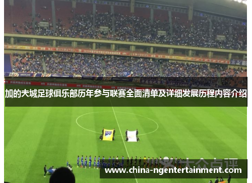 加的夫城足球俱乐部历年参与联赛全面清单及详细发展历程内容介绍