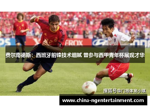 费尔南德斯：西班牙前锋技术细腻 曾参与西甲青年杯展现才华