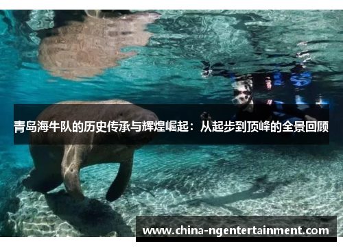 青岛海牛队的历史传承与辉煌崛起:从起步到顶峰的全景回顾 青岛海牛队的历史传承与辉煌崛起:从起步到顶峰的全景回顾
